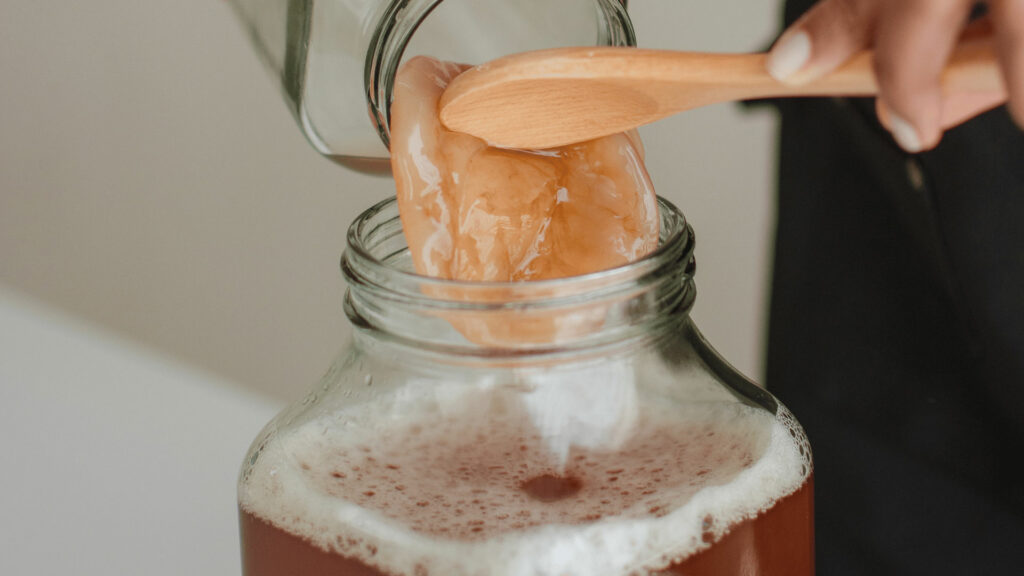 Kombucha How to Prepare This Probiotic Drink at Home