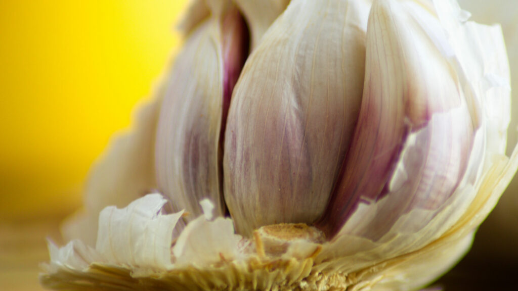 The Cure-All Health Benefits of Garlic